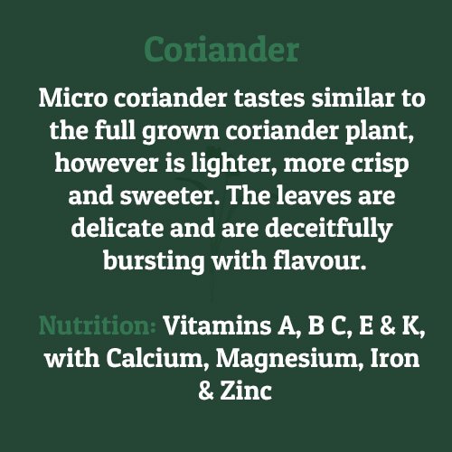 Coriander – on