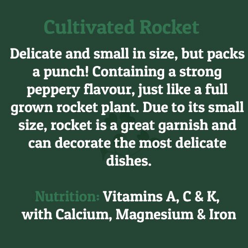 Cultivated Rocket – on