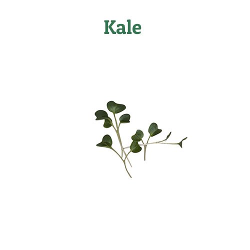 Kale – off