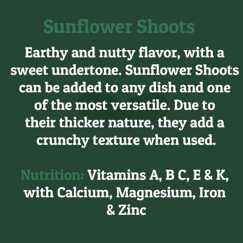 Sunflower Shoots – on