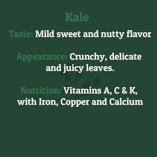 Kale – on